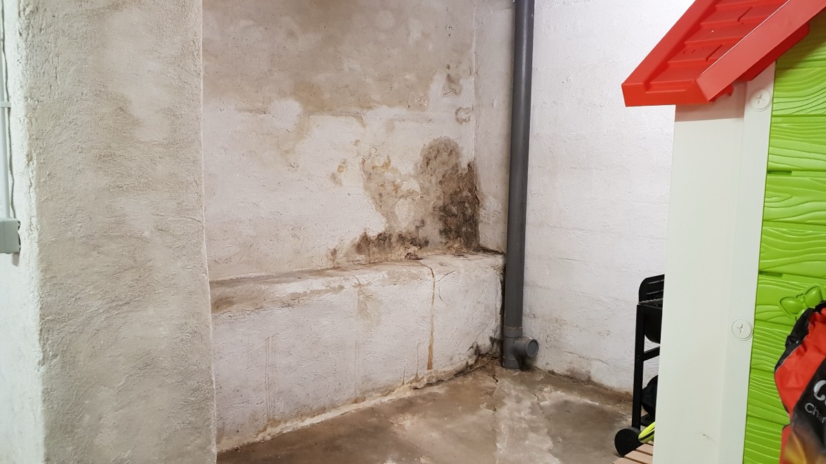 Infiltrations d'eau - Expertise humidité à Belfort